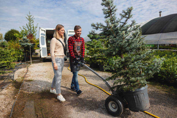 Tree Branch Trimming